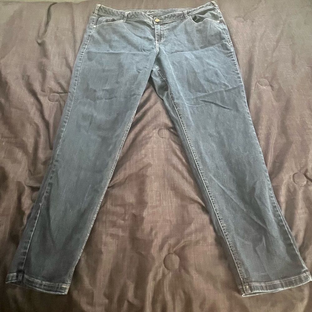 Lane Bryant Genius Fit Skinny Jeans Medium Wash PLUS SIZE 24